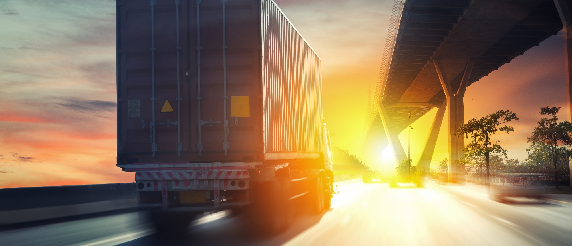 We create value for our partners and customers in a simple and immediate way.